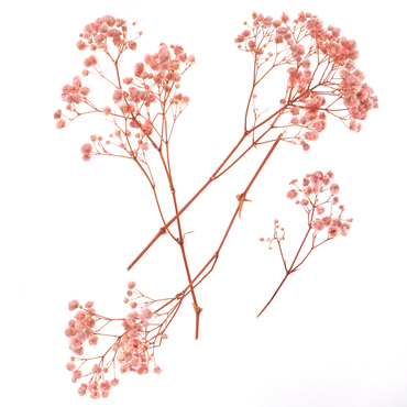 GIPSÓWKA, 4 GAŁĄZKI, OK. 20 CM, LIGHT PINK