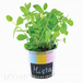 Farba akrylowa, 60 ml - sugar plum