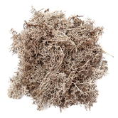 Mech bielony, 30g