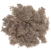 Mech brązowy, 30G