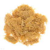 Mech ochrowy, 30G