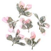 Liście ozdobne, 6 szt. różowo-zielone