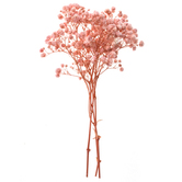 GIPSÓWKA, 4 GAŁĄZKI, OK. 20 CM, LIGHT PINK