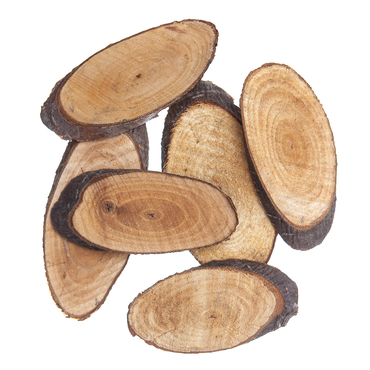 Plastry drewna owal, 6 szt. fi-5-8 cm