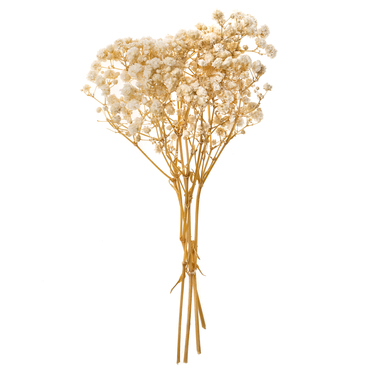 GIPSÓWKA, 4 GAŁĄZKI, OK. 20 CM, NATURAL