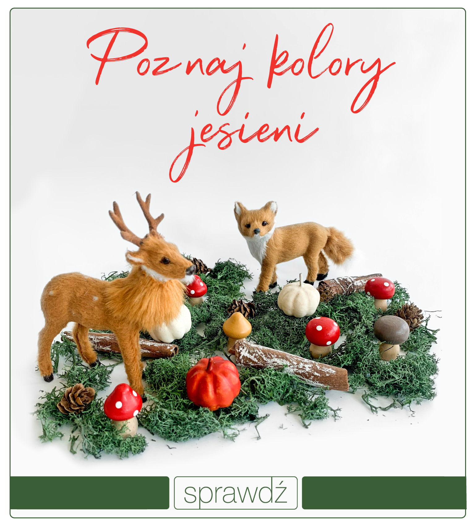 Jesienna promocja na kreatywne produkty